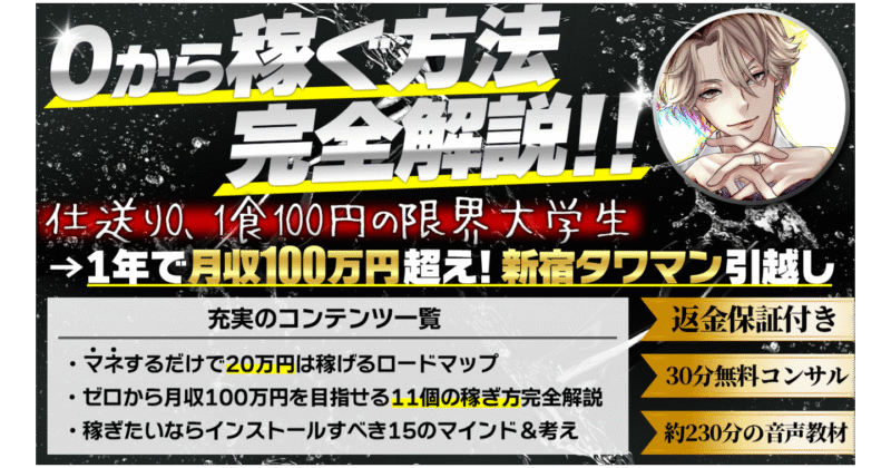 【初心者向け】ゼロから稼ぐ方法完全解説！マネするだけで20万円稼ぐロードマップ、月収100万円目指せる11の稼ぎ方を暴露。【返金保証付】　はるぱる