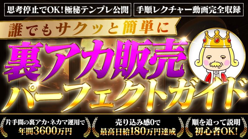 ＜誰でもサクッと簡単に＞裏アカ販売パーフェクトガイド　ネカマ王