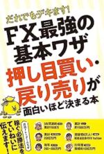 FX歴15年、辿り着いた方法を教えますnogizaka