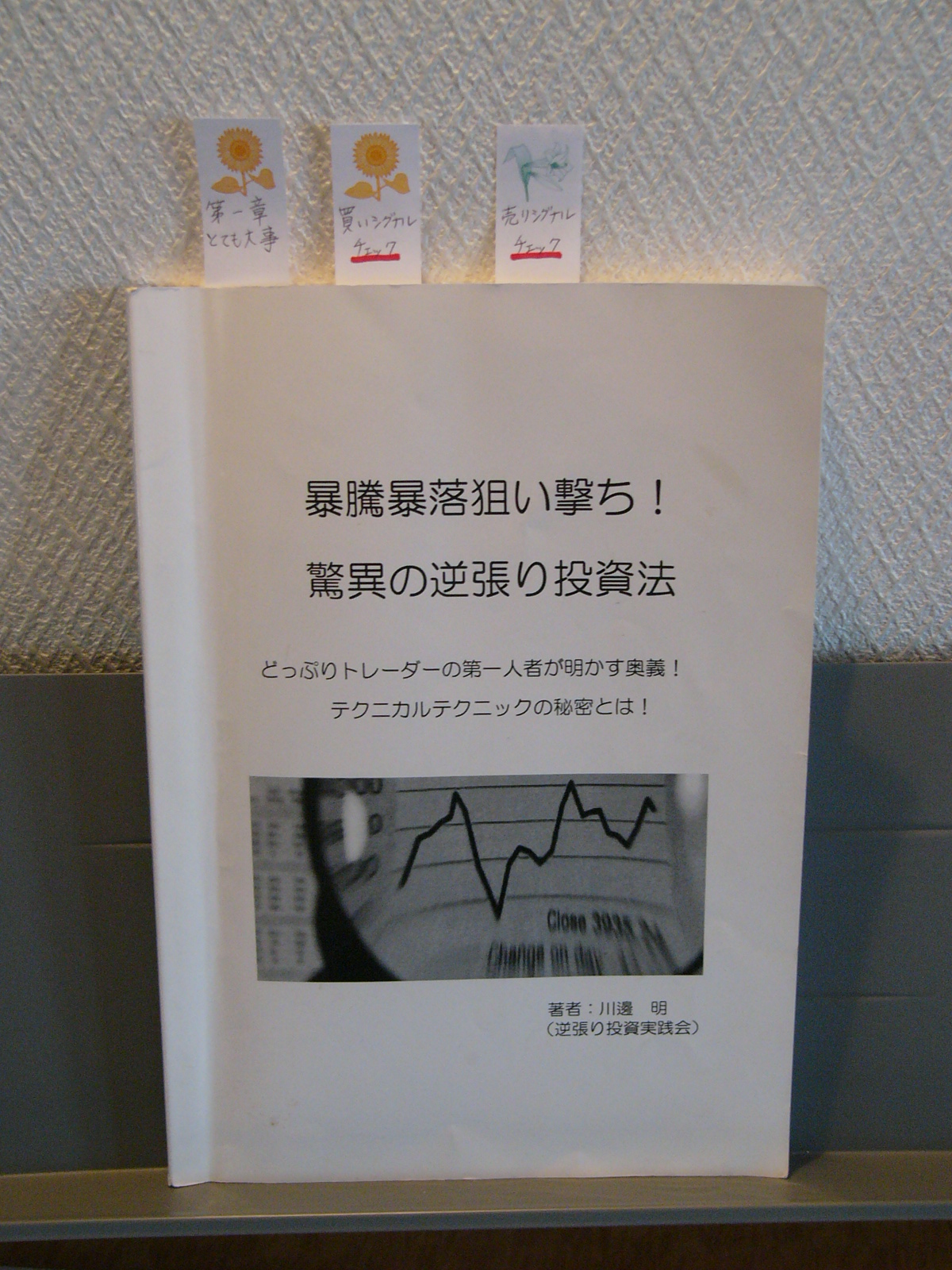 暴騰暴落狙い撃ち!驚異の逆張り投資法 川邊明