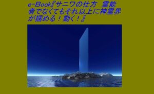 サニワの仕方 定価：¥14,800