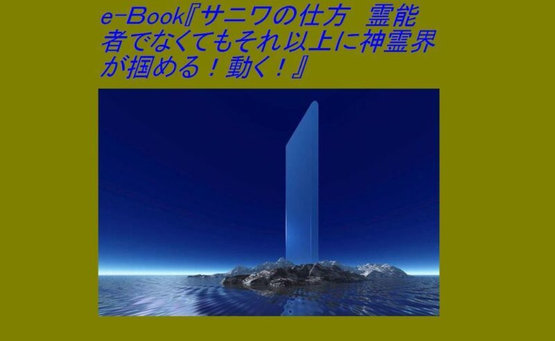 サニワの仕方 定価：¥14,800