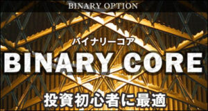 【バイナリーコア】◆次世代投資手法バイナリーオプションの決定版がここにある！ 定価：¥10,800