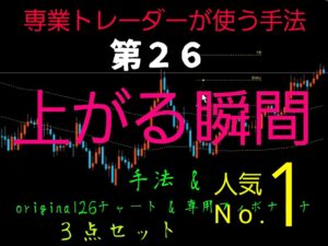 FXで勝ちたい！でもお金はない！私の手法教えます（第02手法） 369オーガ