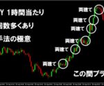 FXのプロが開発した究極の両建て手法をお教えします SE兼プロトレーダー