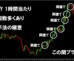 FXのプロが開発した究極の両建て手法をお教えします SE兼プロトレーダー