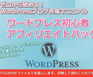 ワードプレス初心者アフィリエイトパックを提供します jangjang