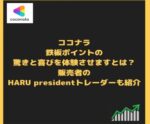 シンプルですがとにかく強い。感動させます HARU presidentトレーダー