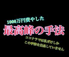 1000万円費やした最高峰の手法を伝授します イデアル∞