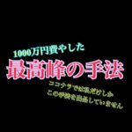 1000万円費やした最高峰の手法を伝授します イデアル∞