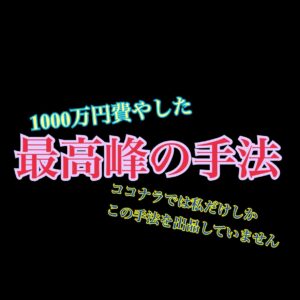 1000万円費やした最高峰の手法を伝授します イデアル∞