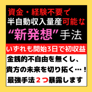 初心者が初月『25万』稼いだ“新発想”手法教えます kei