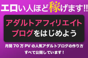 アダルトアフィリエイトブログをはじめようー月間70万PVの人気アダルトブログを作成するための すべてのノウハウを公開します！