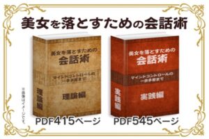 美女を落とすための会話術 相沢蓮也 アフィリエイター特典　ありす