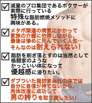 Boxer Method ボクサーメソッド 定価：¥14,800