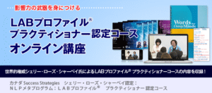 LABプロファイル プラクティショナー認定コースDVD（DAY1～4動画+テキスト）