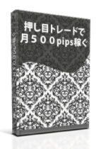 押し目トレードで月５００pips稼ぐ 定価：¥108,000