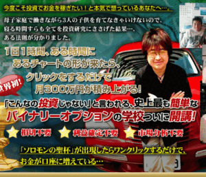 ボリ平式バイナリーオプション講座 定価:¥248,000