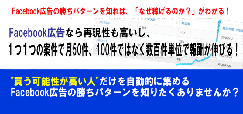 Fac広告の指南書 ～ Fac広告を使ってアフィリエイトで稼ぐ勝ちパターンの作り方 すばる