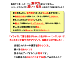 実践凡人からのハイブリッド集中力 定価：¥9,800