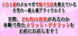 小雪が紡ぐと・・・ブログ特典「小雪の一通入魂アフィリエイト」 小雪