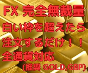 無裁量、注文する場所がすぐわかるFX手法教えます ルシアークス＠投資家兼SNSマーケッター