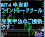専業トレーダーの道へ、第二弾。裁量トレード伝えます ほうきぼし