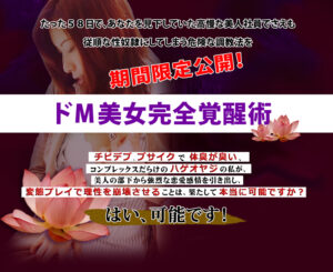 ドM美女完全覚醒術 定価：¥22,800