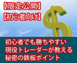 FXの鉄板ポイント教えます tomohilowfx