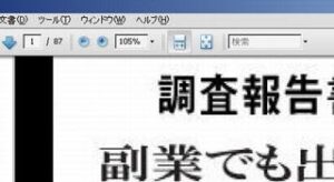 報告ビジネス ～ 一般サラリーマンが会社に行きながら毎日6000円の副収入を稼いでいる方法 井上浩樹