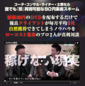 80円DVD集客メゾット