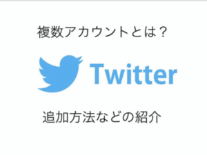 Twitter 日本人フォロワー 1万人以上追加マニュアル 複数アカウント可能！（ツイッター アカウント フォロー）