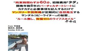 平秀信 サンダルコピーライター 定価：149700