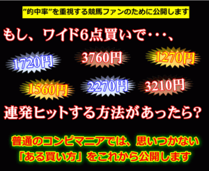 【スターホース◆ダブルサプライズのsisetucho特典】 定価：¥7,800