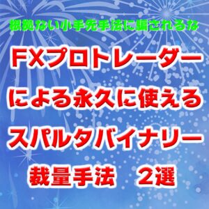 FXプロトレーダーが使うバイナリー手法を教えます masa4291