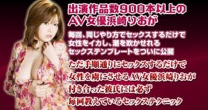 即日セックス量産マッチポンプ式テンプレート 定価：¥33,000