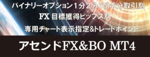アセンドFX&BO MT4 定価:¥14,800
