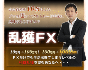 乱獲FX FX-Jin