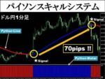 パイソンスキャルシステム