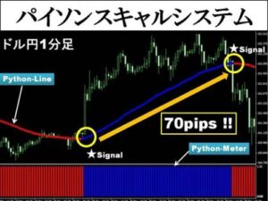 パイソンスキャルシステム