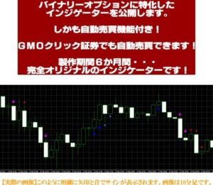 自動売買ソフト付き★バイナリーオプション用シグナルEA cTr_BO 定価：¥21,000
