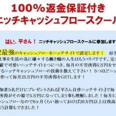 平秀信 ニッチキャッシュフロースクール