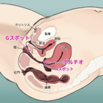 中逝きするために マスタピさん
