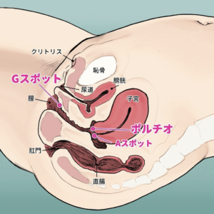 中逝きするために マスタピさん