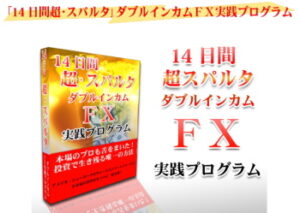 長瀬流FX解体真書