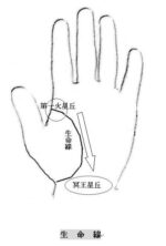 GTS - ギラつき・手相・SEX フクイレン
