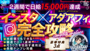【220部完売！】TikTok✕Twitterアダアフィ完全攻略【最終49800円】　アオヤマ@アダアフィ教材ランキング1位