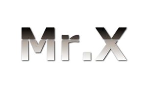 知能向上アプローチ 240万円ライティング Mr.X