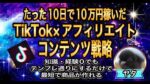初心者でもたった10日で10万円以上稼ぐTikTok×アフィリエイト悪魔的マネタイズ術 　ヤタ