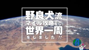 野良犬流マイル攻略セミナー　野良犬さわ 定価：¥24,800